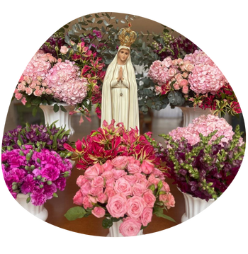 Espiritualidade - Carol Scaff